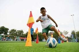 2005 芝加哥终结：白袜队时隔 88 年再次夺冠，终结了队史漫长的冠军荒