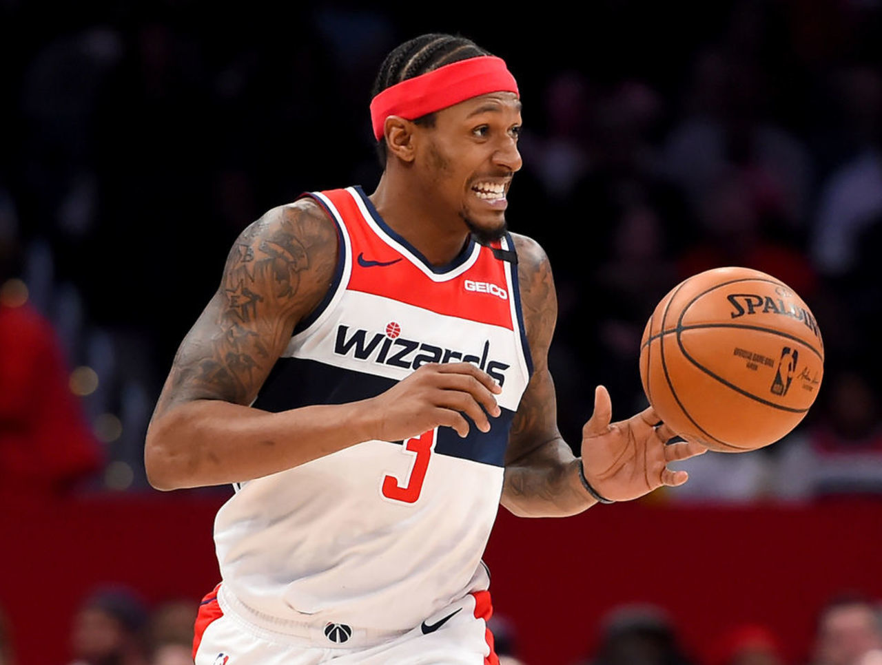 拥有庞大的 拥有庞大的